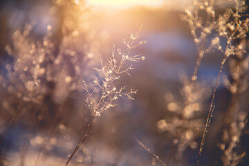 实测分享“约局吧最厉害的三个工具”开挂(透视)辅助教程