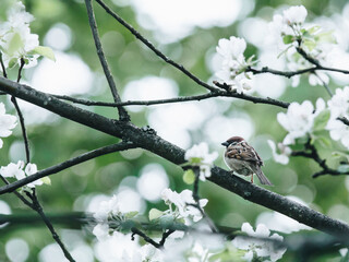 实测教程”微乐广西麻将万能开挂器通用版”开挂(透视)辅助教程