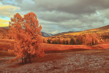 分享实测辅助“丽金娱乐开挂神器最新版本更新内容”附开挂脚本详细教程