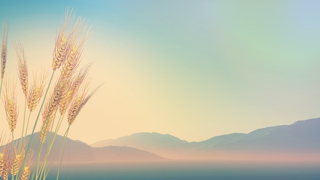 分享实测辅助“麻友圈安装板透视功能教程,分享”开挂(透视)辅助教程