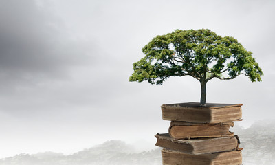 最新版本脚本“微乐陕西挖坑可以开挂吗”透视开挂辅助教程