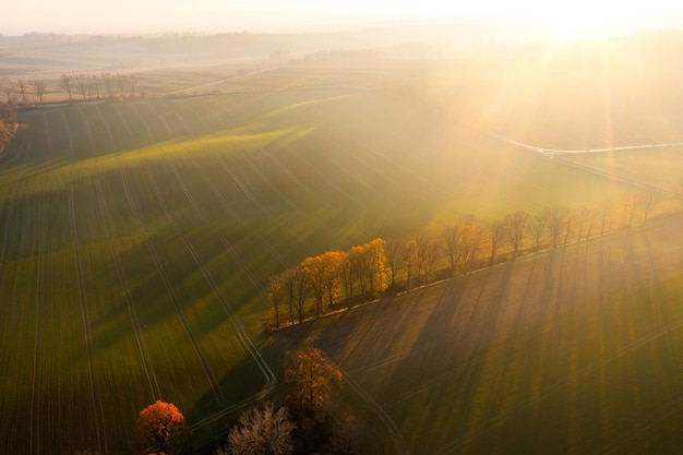 指定教程“微乐掼蛋开挂”详细开挂玩法