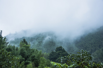 推荐一款“情怀麻将开挂必赢神器”附开挂脚本详细教程