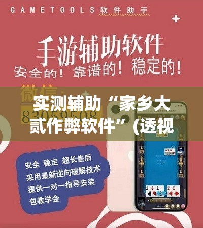 实测辅助“家乡大贰作弊软件”(透视挂)辅助下载教程