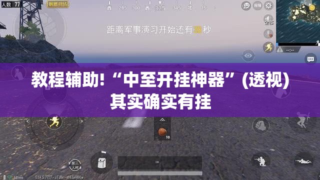 教程辅助!“中至开挂神器”(透视)其实确实有挂