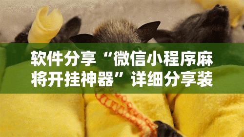 软件分享“微信小程序麻将开挂神器”详细分享装挂步骤