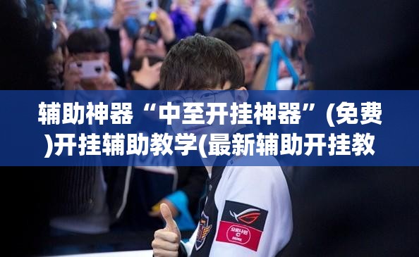 辅助神器“中至开挂神器”(免费)开挂辅助教学(最新辅助开挂教程)