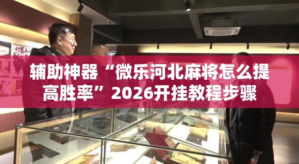 辅助神器“微乐河北麻将怎么提高胜率”2026开挂教程步骤