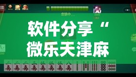 软件分享“微乐天津麻将挂软件”详细分享装挂步骤