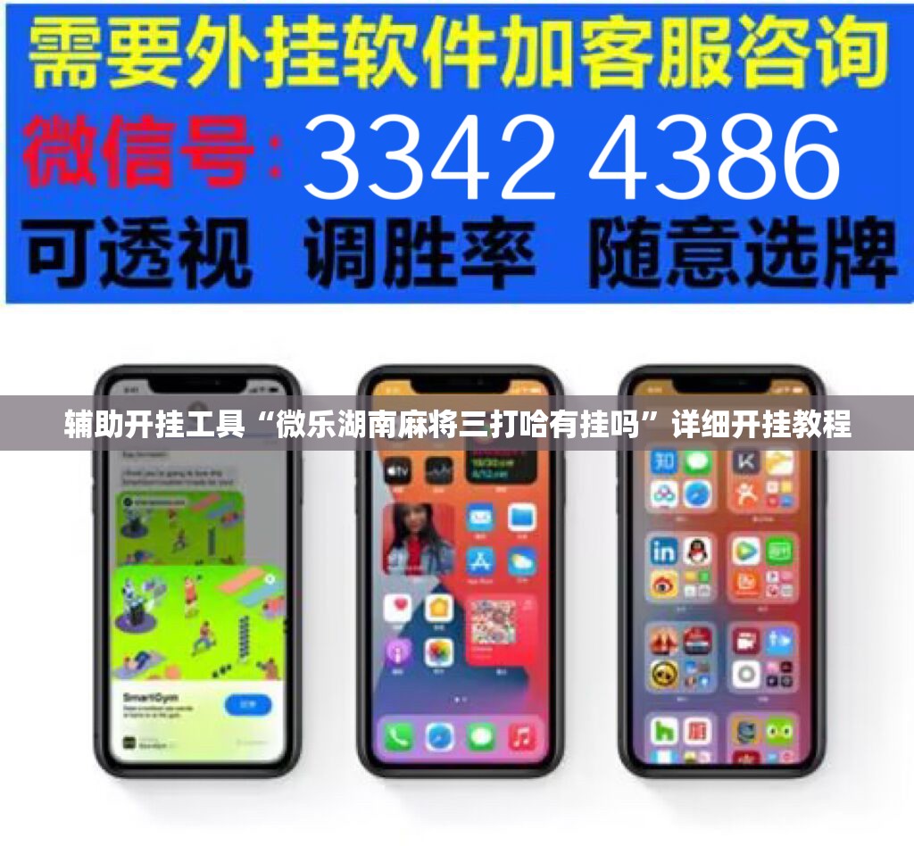 辅助开挂工具“微乐湖南麻将三打哈有挂吗	”详细开挂教程