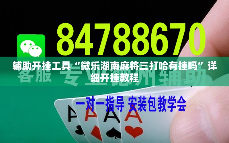 辅助开挂工具“微乐湖南麻将三打哈有挂吗”详细开挂教程