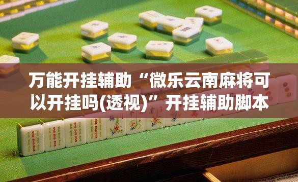 万能开挂辅助“微乐云南麻将可以开挂吗(透视)”开挂辅助脚本+详细开挂安装教程