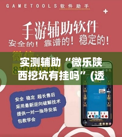 实测辅助“微乐陕西挖坑有挂吗	”(透视挂)辅助下载教程