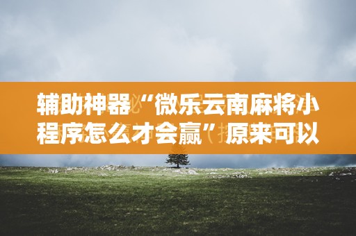 辅助神器“微乐云南麻将小程序怎么才会赢”原来可以开挂