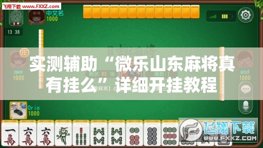 实测辅助“微乐山东麻将真有挂么”详细开挂教程
