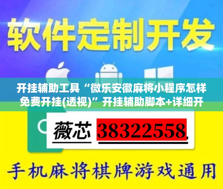 开挂辅助工具“微乐安徽麻将小程序怎样免费开挂(透视)”开挂辅助脚本+详细开挂安装教程