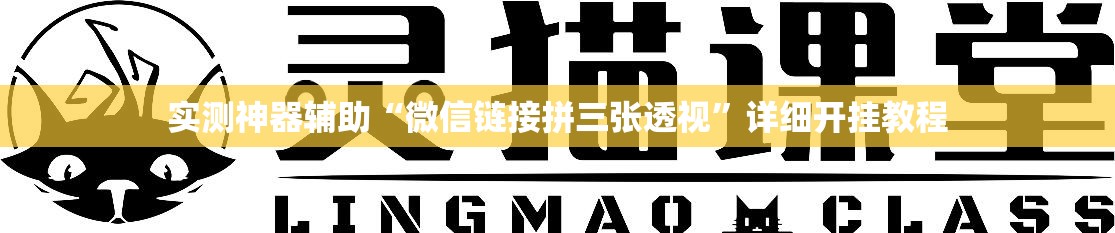 实测神器辅助“微信链接拼三张透视”详细开挂教程
