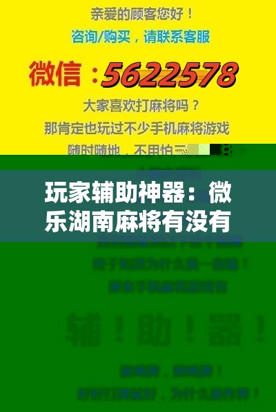 玩家辅助神器：微乐湖南麻将有没有开挂神器多少钱”详细分享装挂步骤