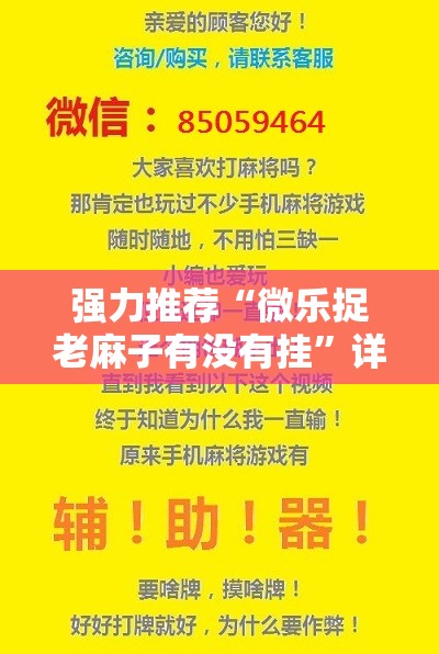 强力推荐“微乐捉老麻子有没有挂”详细开挂教程