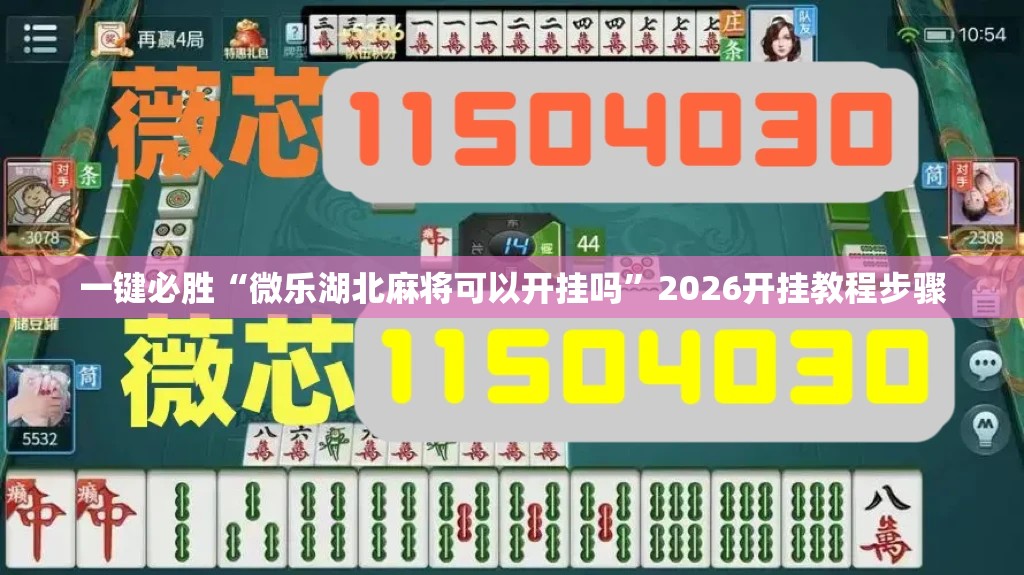 一键必胜“微乐湖北麻将可以开挂吗	”2026开挂教程步骤