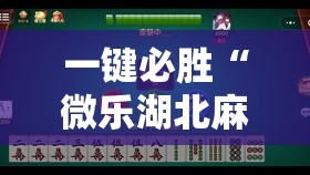 一键必胜“微乐湖北麻将可以开挂吗	”2026开挂教程步骤