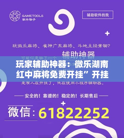 玩家辅助神器：微乐湖南红中麻将免费开挂	”开挂详细教程