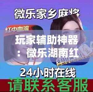 玩家辅助神器：微乐湖南红中麻将免费开挂”开挂详细教程