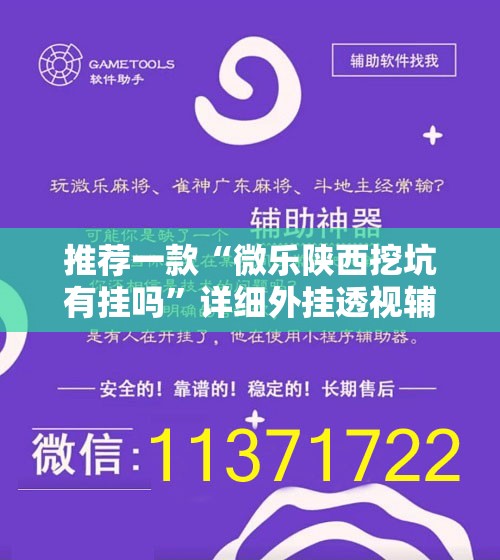 推荐一款“微乐陕西挖坑有挂吗”详细外挂透视辅助软件教程