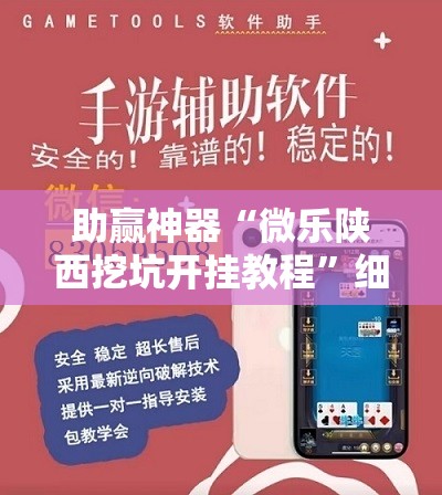 助赢神器“微乐陕西挖坑开挂教程”细辅助教程分享
