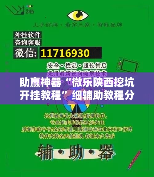 助赢神器“微乐陕西挖坑开挂教程”细辅助教程分享