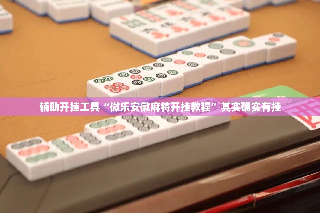 辅助开挂工具“微乐安徽麻将开挂教程”其实确实有挂