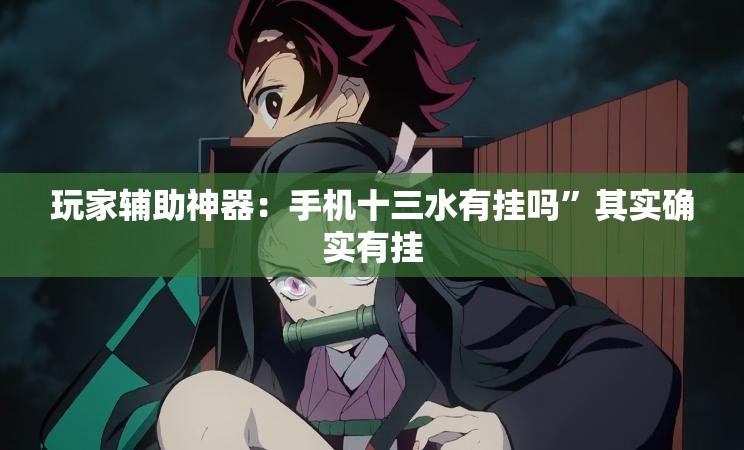 玩家辅助神器：手机十三水有挂吗”其实确实有挂