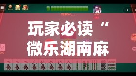 玩家必读“微乐湖南麻将开挂免费下载安装	”原来可以开挂