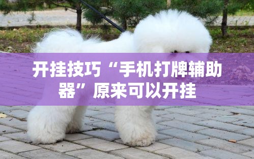 开挂技巧“手机打牌辅助器”原来可以开挂