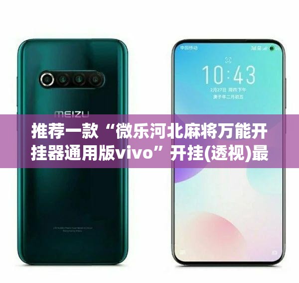 推荐一款“微乐河北麻将万能开挂器通用版vivo”开挂(透视)最新辅助详细