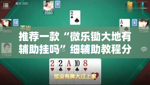 推荐一款“微乐锄大地有辅助挂吗”细辅助教程分享