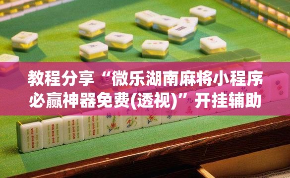 教程分享“微乐湖南麻将小程序必赢神器免费(透视)”开挂辅助脚本+详细开挂安装教程
