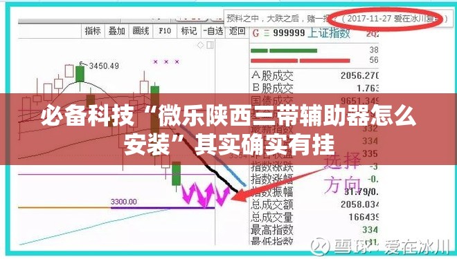 必备科技“微乐陕西三带辅助器怎么安装”其实确实有挂