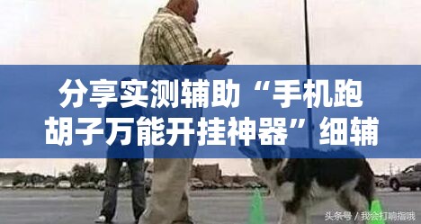 分享实测辅助“手机跑胡子万能开挂神器”细辅助教程分享