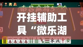 开挂辅助工具“微乐湖南麻将三打哈有没有开挂神器(透视)	”开挂辅助脚本+详细开挂安装教程