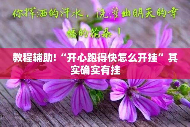 教程辅助!“开心跑得快怎么开挂”其实确实有挂