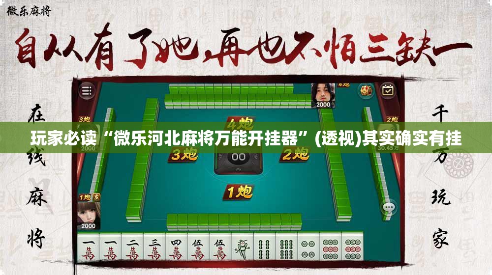 玩家必读“微乐河北麻将万能开挂器	”(透视)其实确实有挂