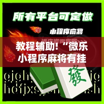 教程辅助!“微乐小程序麻将有挂不	”详细分享装挂步骤