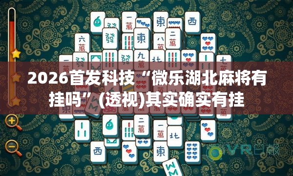 2026首发科技“微乐湖北麻将有挂吗”(透视)其实确实有挂