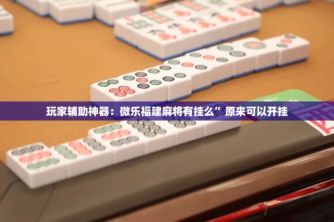玩家辅助神器：微乐福建麻将有挂么”原来可以开挂