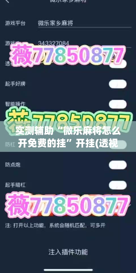 实测辅助“微乐麻将怎么开免费的挂”开挂(透视)辅助神器