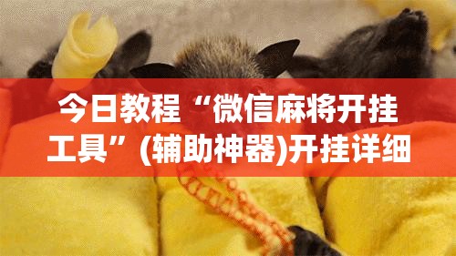 今日教程“微信麻将开挂工具”(辅助神器)开挂详细教程
