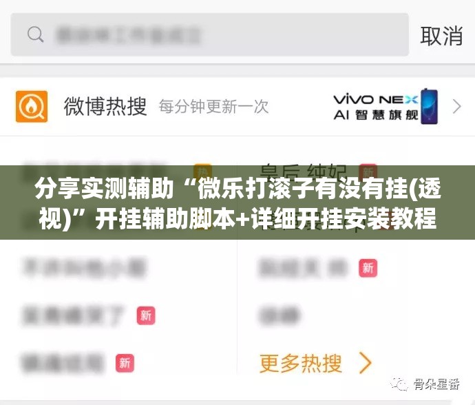 分享实测辅助“微乐打滚子有没有挂(透视)”开挂辅助脚本+详细开挂安装教程