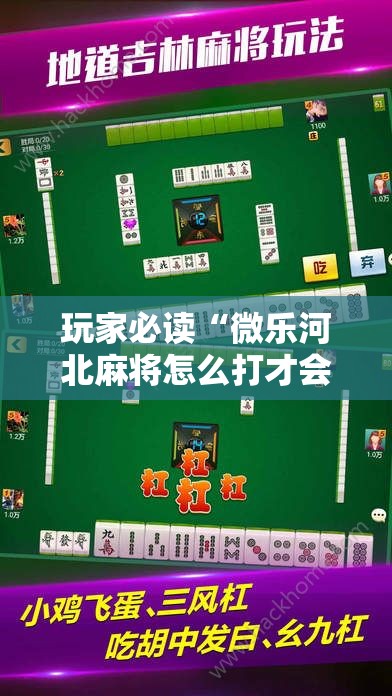 玩家必读“微乐河北麻将怎么打才会赢”科技辅助神器手机版