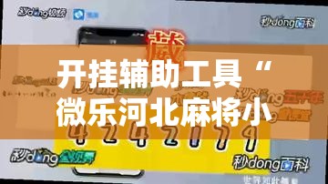 开挂辅助工具“微乐河北麻将小程序万能挂免费版”其实确实有挂